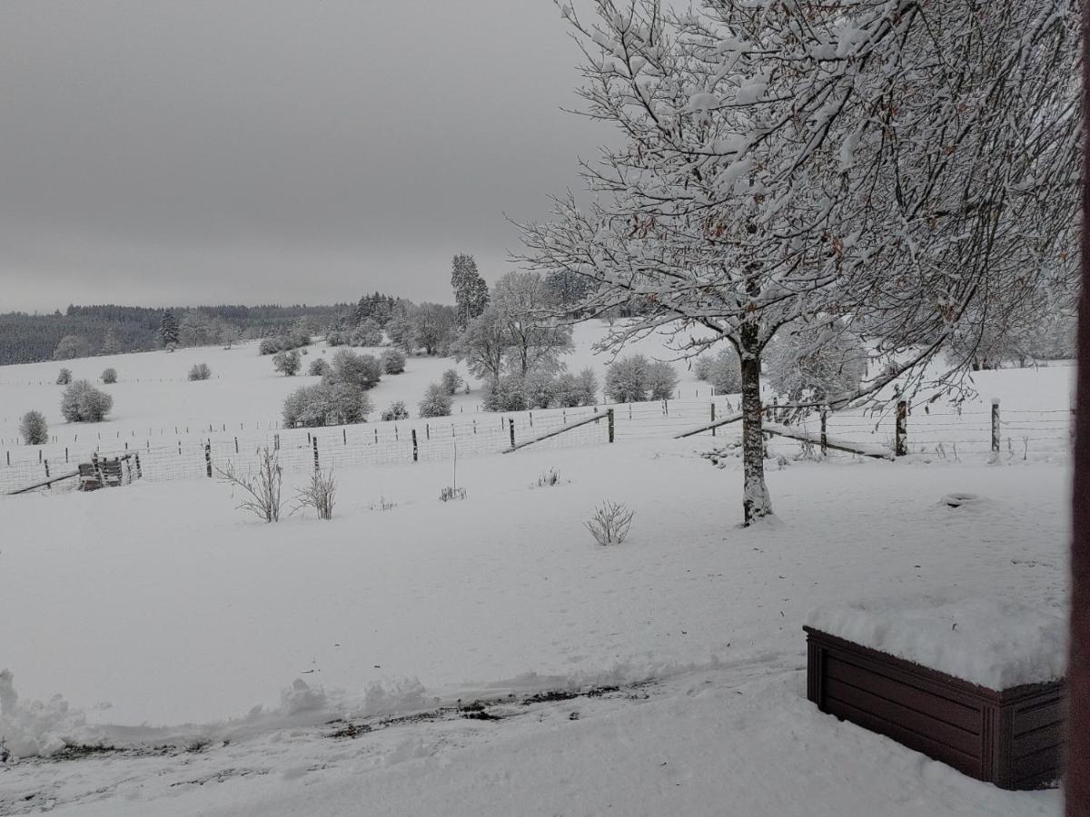 Abri De Jardin Villa Виелсалм Екстериор снимка